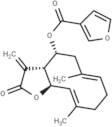 β-Furoyleupatolide