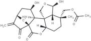 Carpalasionin