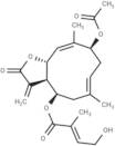 Chromolaenide