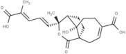 Demethoxydeacetoxypseudolaric acid B