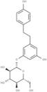 Dihydroresveratrol 3-O-glucoside