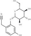 Ehretioside B