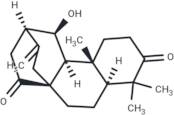 ent-11β-Hydroxyatis-16-ene-3,14-dione