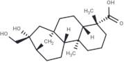 ent-16β,17-Dihydroxy-19-kauranoic acid