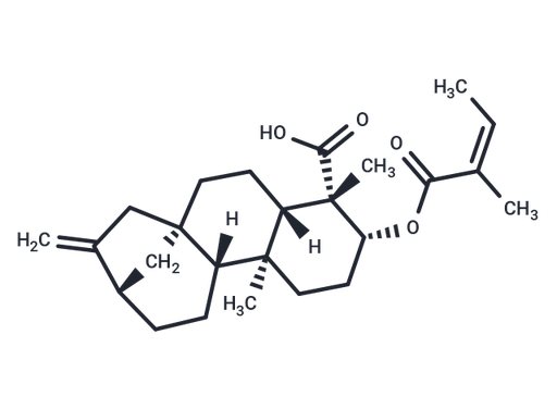 ent-3β-Angeloyloxykaur-16-en-19-oic acid