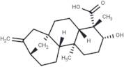 ent-3β-Hydroxykaur-16-en-19-oic acid