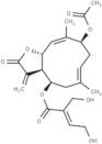 Eucannabinolide