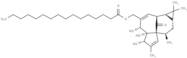 Ingenol 20-palmitate