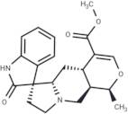 Isomitraphylline