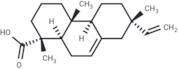 Isopimaric acid