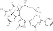 Jatrophane I