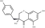 Loureiriol