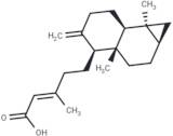 Metasequoic acid A