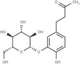 Myzodendrone