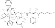 N-Methyltaxol C