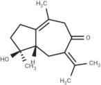 Neoprocurcumenol