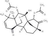 Odonicin