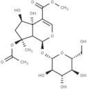 Phlorigidoside B