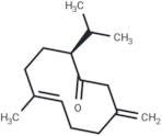 Preisocalamendiol