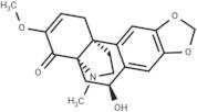 Prostephanaberrine