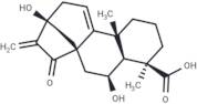 Pterisolic acid A