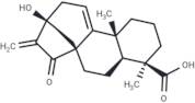 Pterisolic acid C