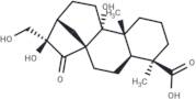 Pterisolic acid F