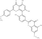 Putraflavone