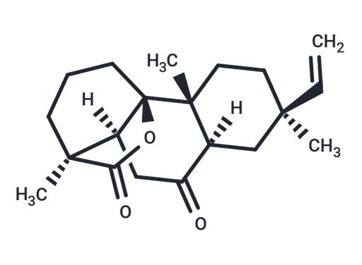 Rosenonolactone