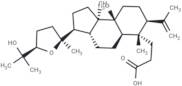 Shoreic acid