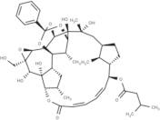 Trigothysoid N