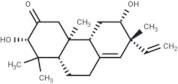 Yucalexin P-17