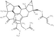 Chlorahololide D