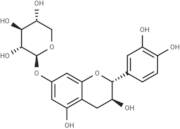 Catechin-7-O-xyloside