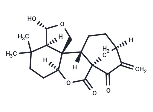 Isodocarpin
