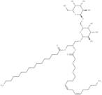 Digalactosyldiacylglycerol