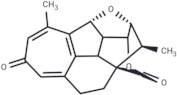 Harringtonolide