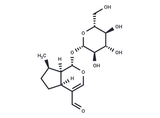 Boschnaloside