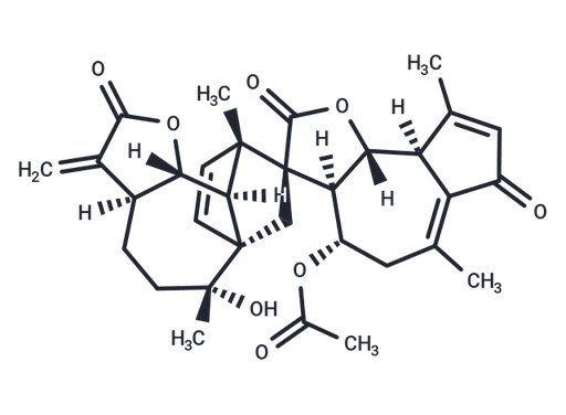 Artanomaloide