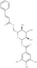 1-O-galloyl-6-O-cinnamoylglucose