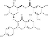 Kaempferol 3-O-(6''-galloyl)-β-D-glucopyranoside