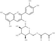 Cyanidin-3-O-(6''-malonylglucoside) chloride