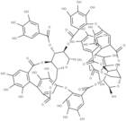 Oenothein B