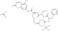 Trypsin