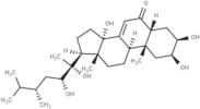 Polyporusterone A