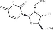 2′-O-Methyluridine