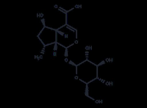 8-Dehydroxyshanzhiside