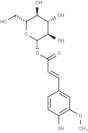 1-O-Feruloylglucose