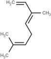 trans-β-Ocimene