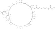 Malolactomycin C